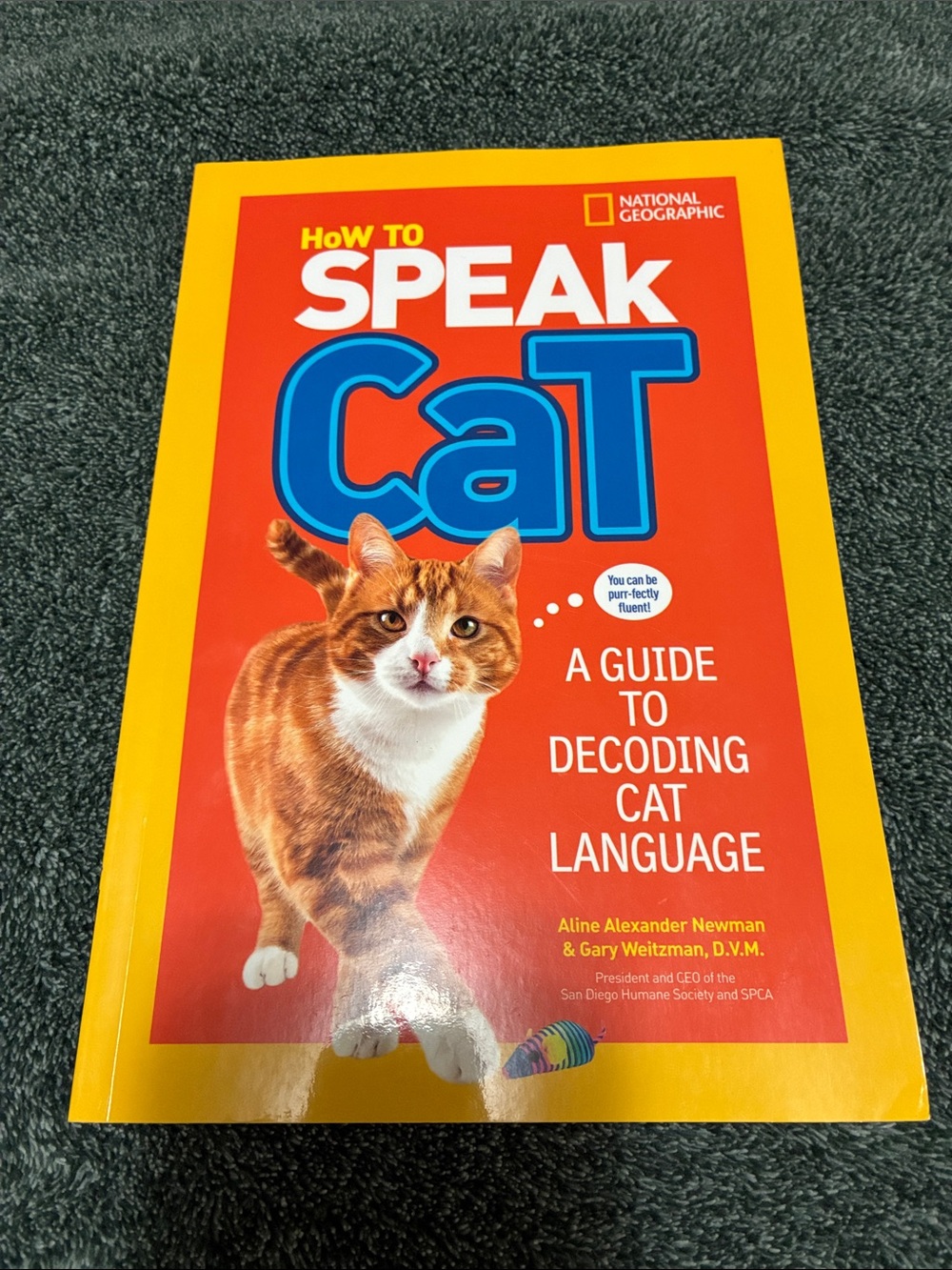 National Geographic Cat Language Guide